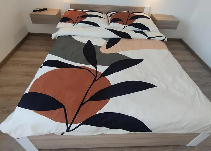 Pensionat Goscinne U Basi Dozynkowa 6 3*